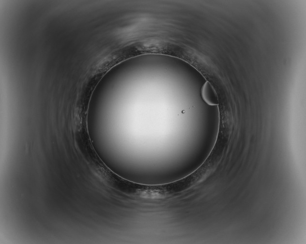 X0000085000751200703121500