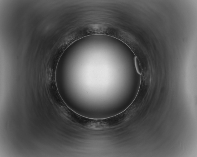 X0000085000752200703121500