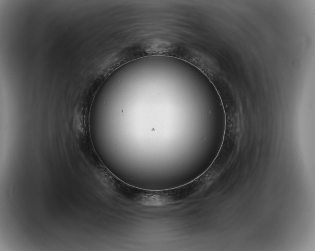 X0000085000755200703121500