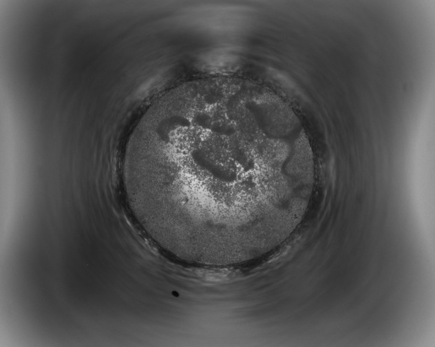 X0000085000757200703121500