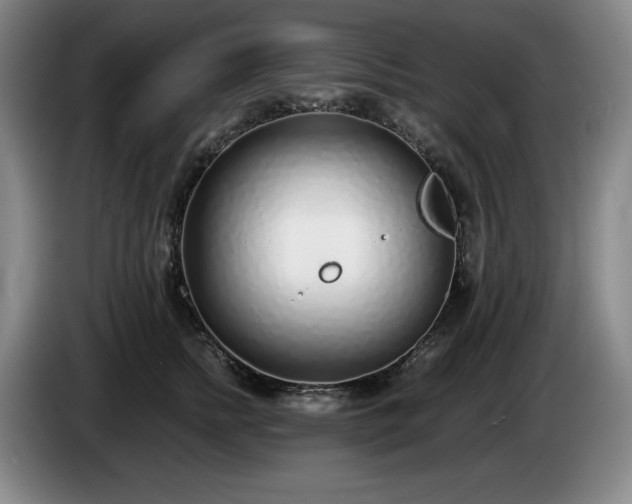 X0000085000758200703121500