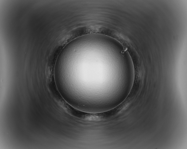 X0000085000759200703121500