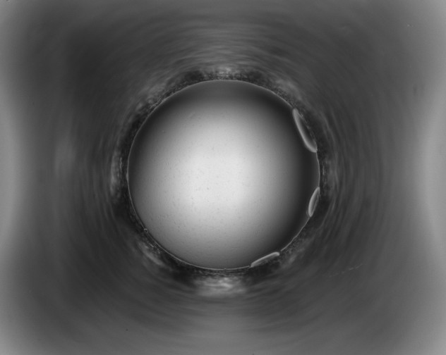 X0000085000760200703121500