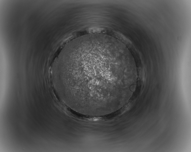 X0000085000761200703121500