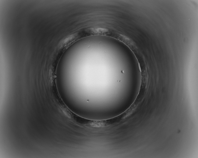 X0000085000762200703121500