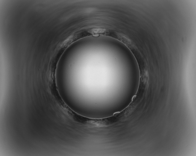 X0000085000763200703121500