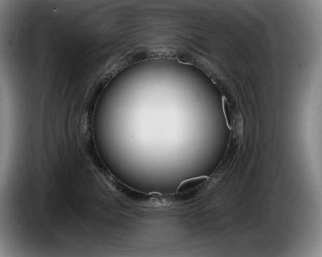 X0000085000764200703121500