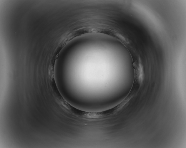 X0000085000766200703121500