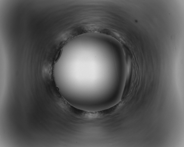 X0000085000767200703121500