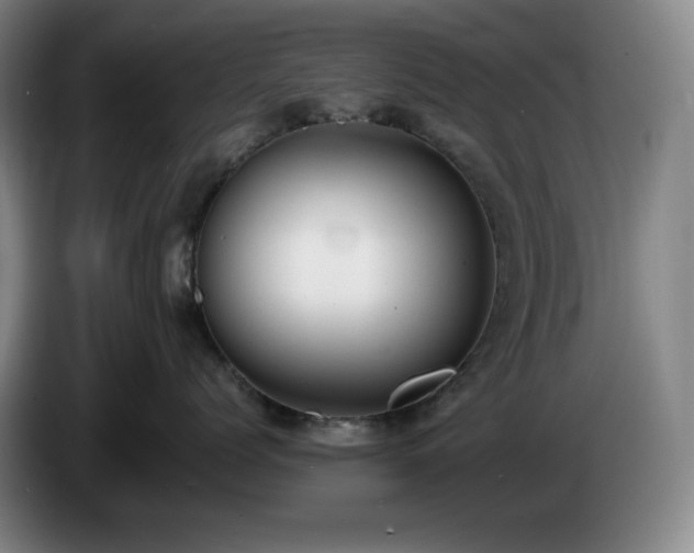 X0000085000768200703121500