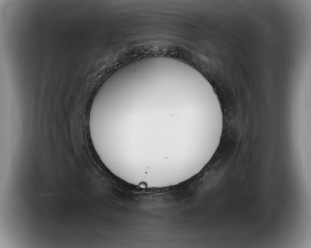 X0000085000769200703121500