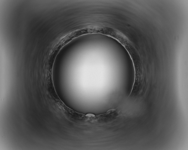 X0000085000773200703121459