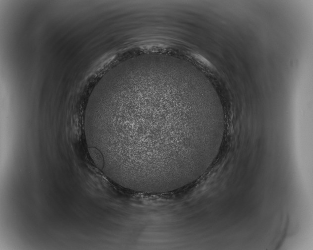 X0000085000774200703121459