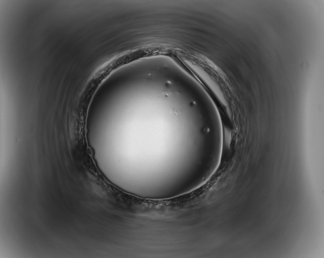 X0000085000775200703121459