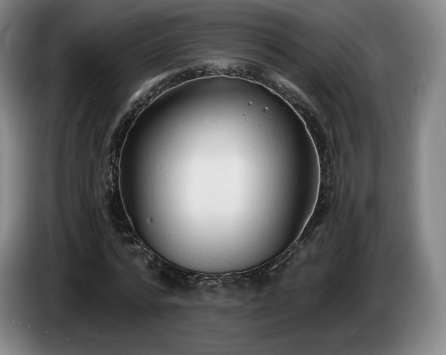 X0000085000776200703121459