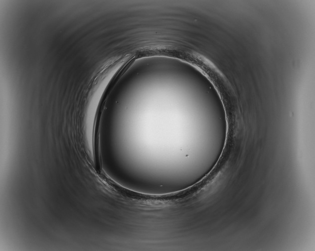 X0000085000777200703121459