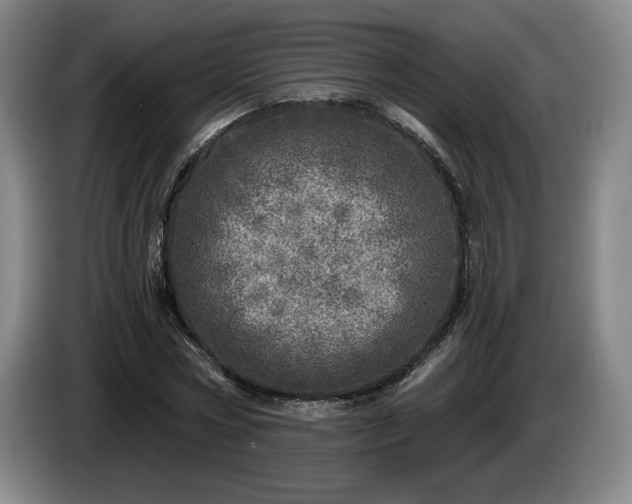 X0000085000778200703121459