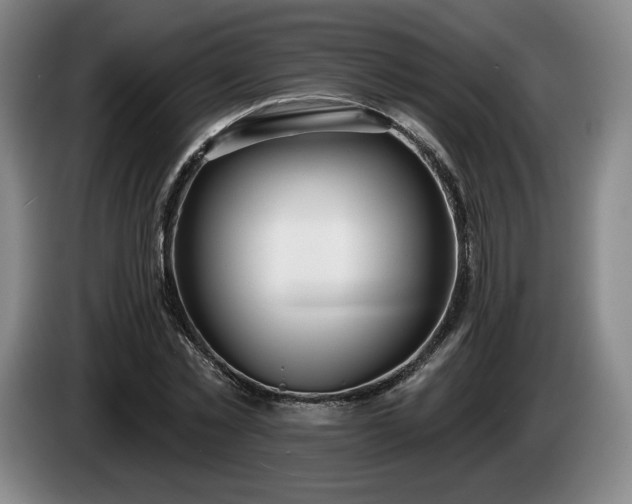 X0000085000781200703121459