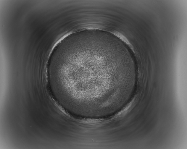 X0000085000782200703121459