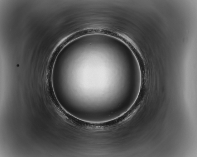 X0000085000783200703121459