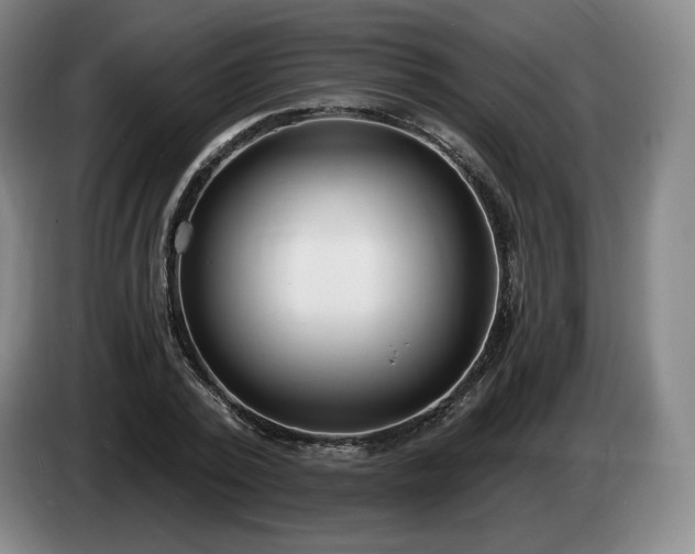 X0000085000784200703121459