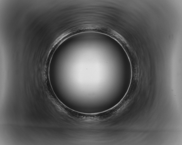 X0000085000786200703121459