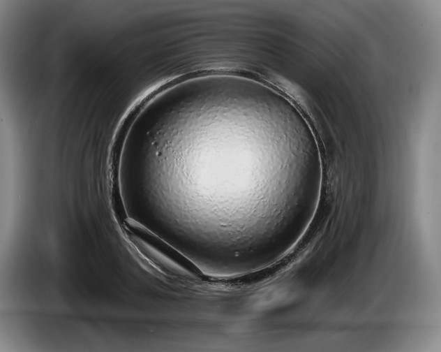 X0000085000787200703121459