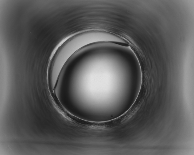 X0000085000788200703121459