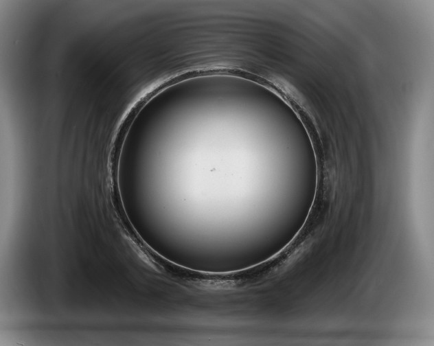 X0000085000789200703121459