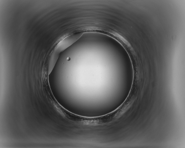 X0000085000793200703121459