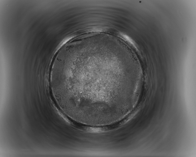 X0000085000794200703121459