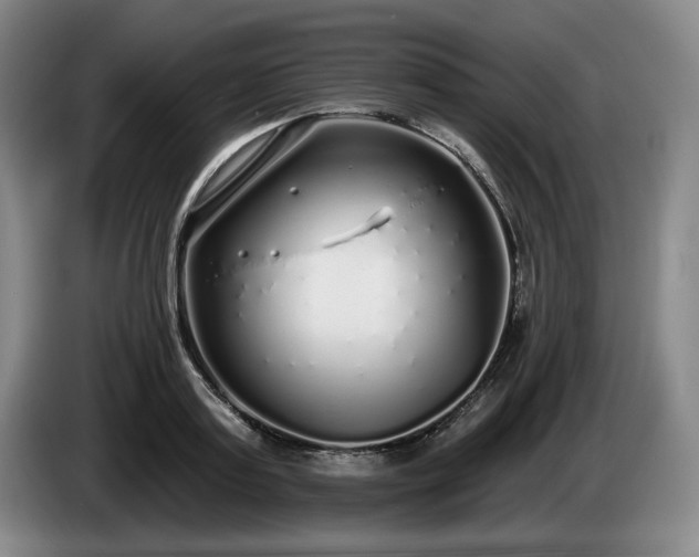 X0000085000795200703121459