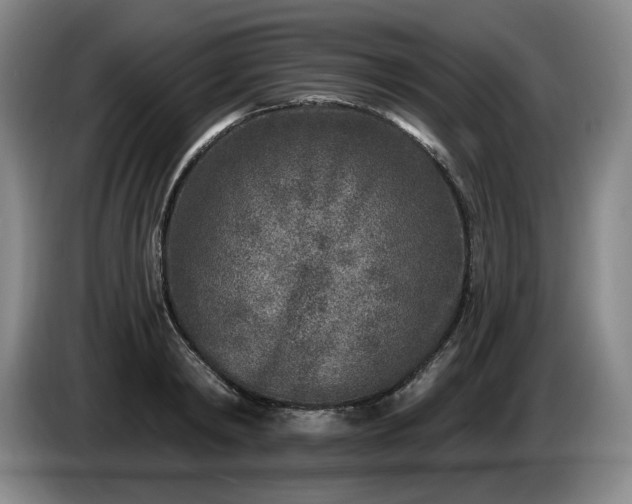 X0000085000798200703121459