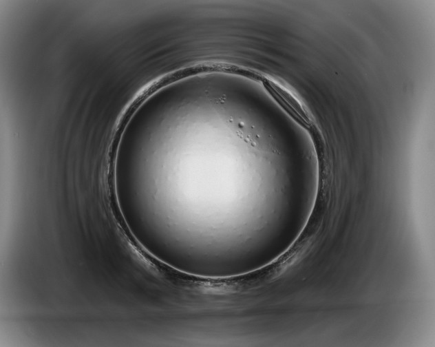 X0000085000799200703121459