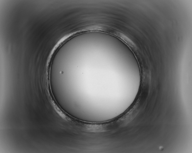 X0000085000800200703121459