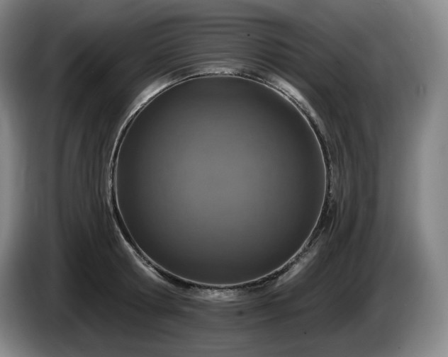 X0000085000802200703121459