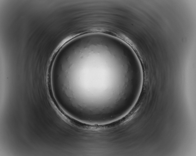 X0000085000803200703121459