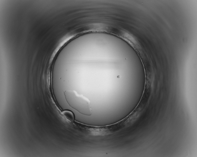 X0000085000804200703121459