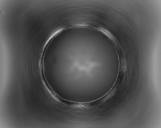 X0000085000806200703121459