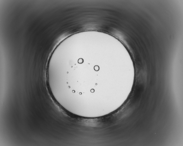 X0000085000810200703121459