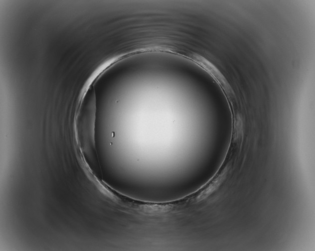 X0000085000812200703121459