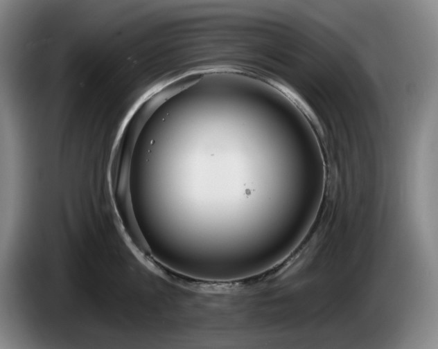 X0000085000813200703121459