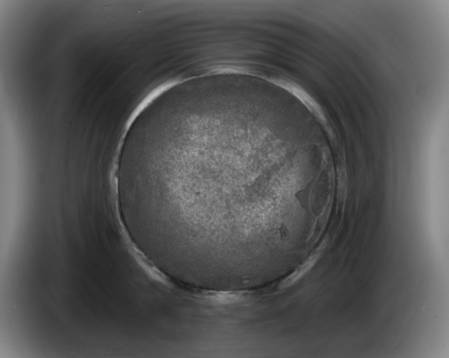 X0000085000814200703121459