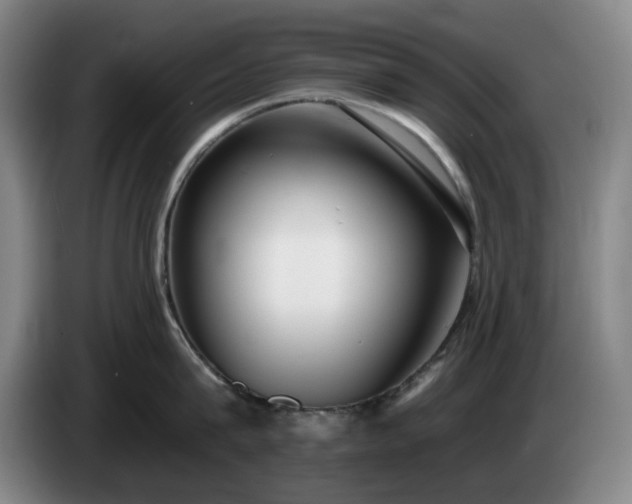 X0000085000815200703121459