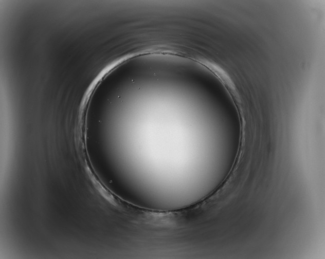 X0000085000816200703121459