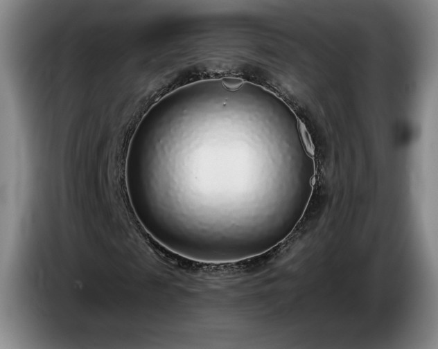 X0000085000817200703121458