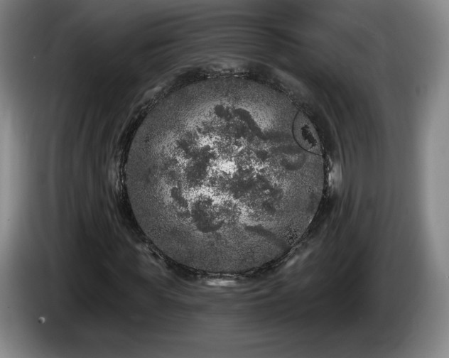 X0000085000819200703121458