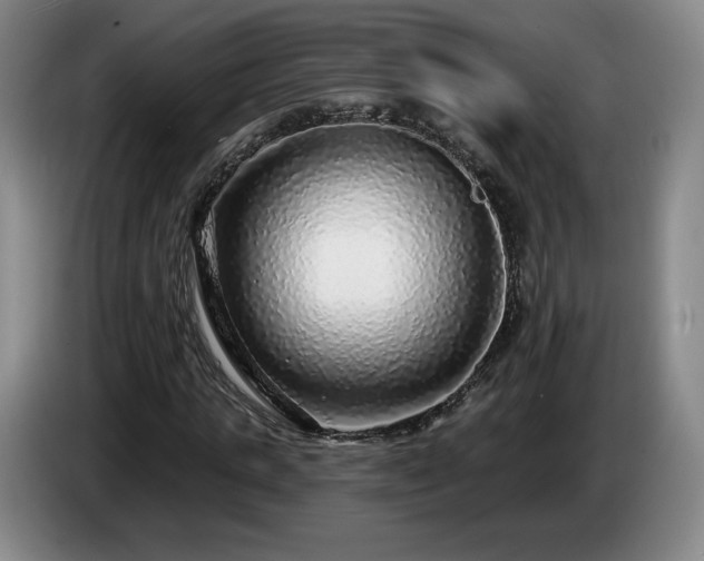 X0000085000821200703121458