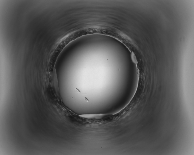 X0000085000822200703121458