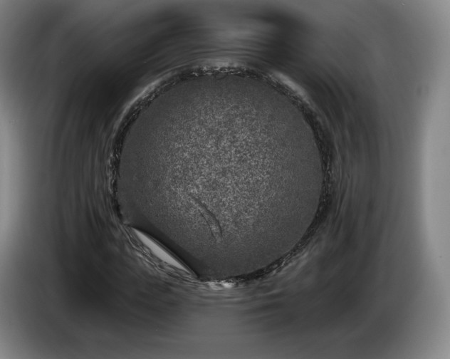 X0000085000823200703121458